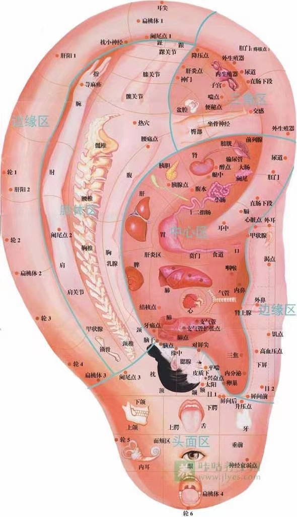 最后.png